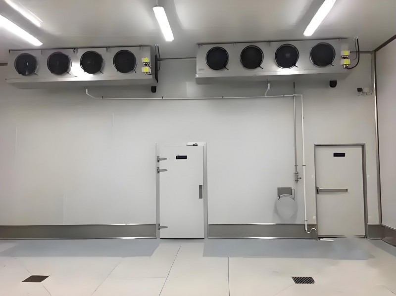 d2158046-817a-42f3-a61c-ef10fa0126c1