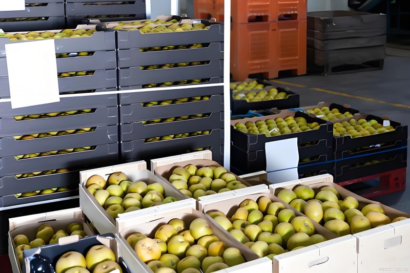 d1b97709-f7ed-480c-9b94-cc3903f87c13